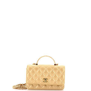 Chanel Resin Chain Wallet on Chain Quilted Lambskin
